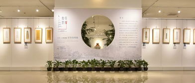 歷史文化與藝術(shù)的多元融合——上海思博職業(yè)技術(shù)學(xué)院中國傳統(tǒng)文化教育活動開放日掠影